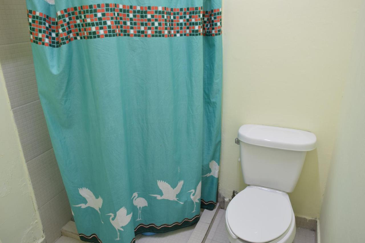 Hostel Plaza Mayor Meksika Dış mekan fotoğraf