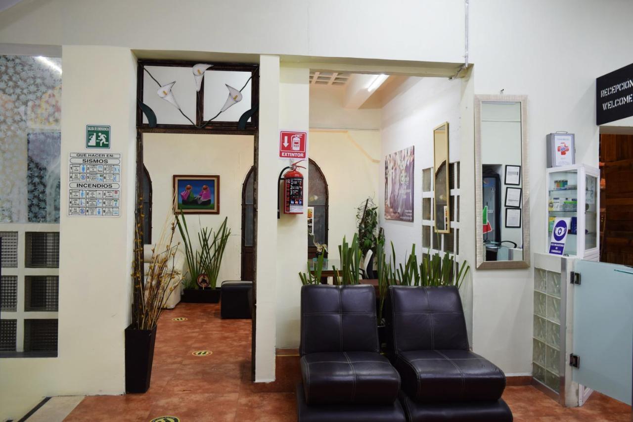 Hostel Plaza Mayor Meksika Dış mekan fotoğraf